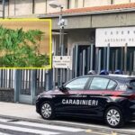 carabinieri ,ascalucia arrestano uomo per spaccio