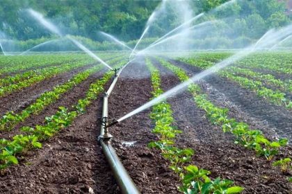acqua irrigazione campi